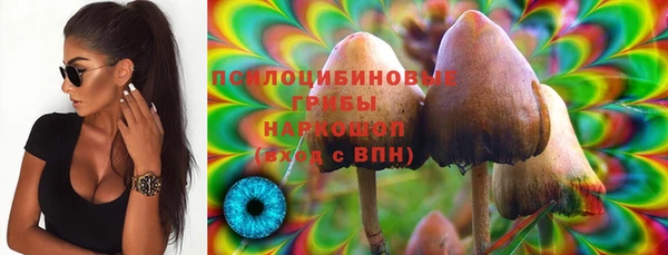 винт Горно-Алтайск