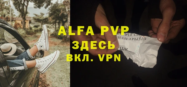 винт Горно-Алтайск