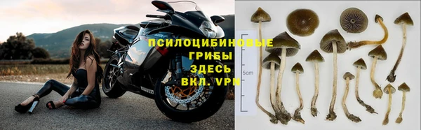 дурь Снежногорск