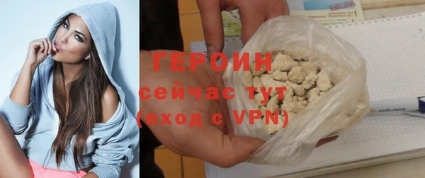 сатива Горняк