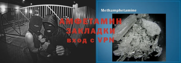 сатива Горняк