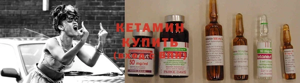 сатива Горняк