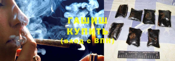 сатива Горняк