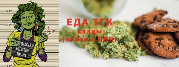 сатива Горняк