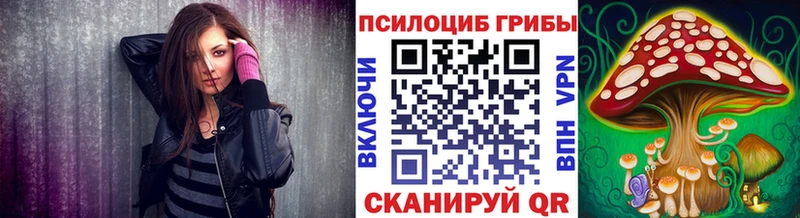где можно купить наркотик  Железноводск  Псилоцибиновые грибы Psilocybine cubensis 