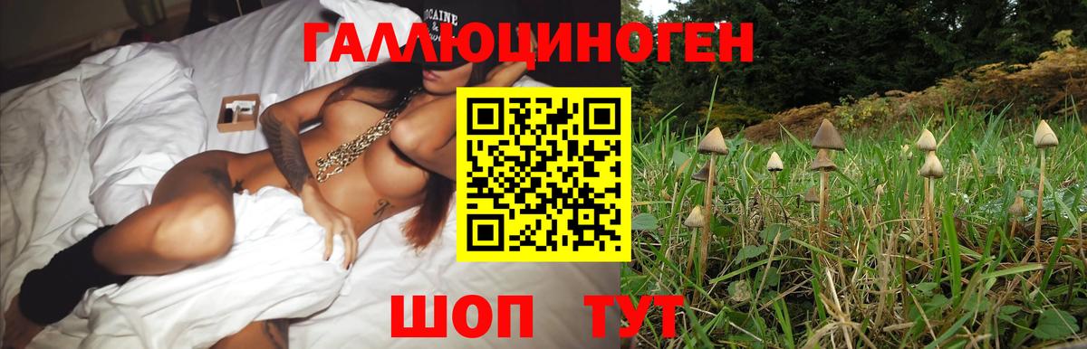 Галлюциногенные грибы MAGIC MUSHROOMS  Галлюциногенные грибы прущие грибы  Железноводск  купить наркотики цена  Вход с VPN 