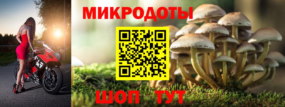 купить наркоту  Железноводск  Псилоцибиновые грибы Magic Shrooms 